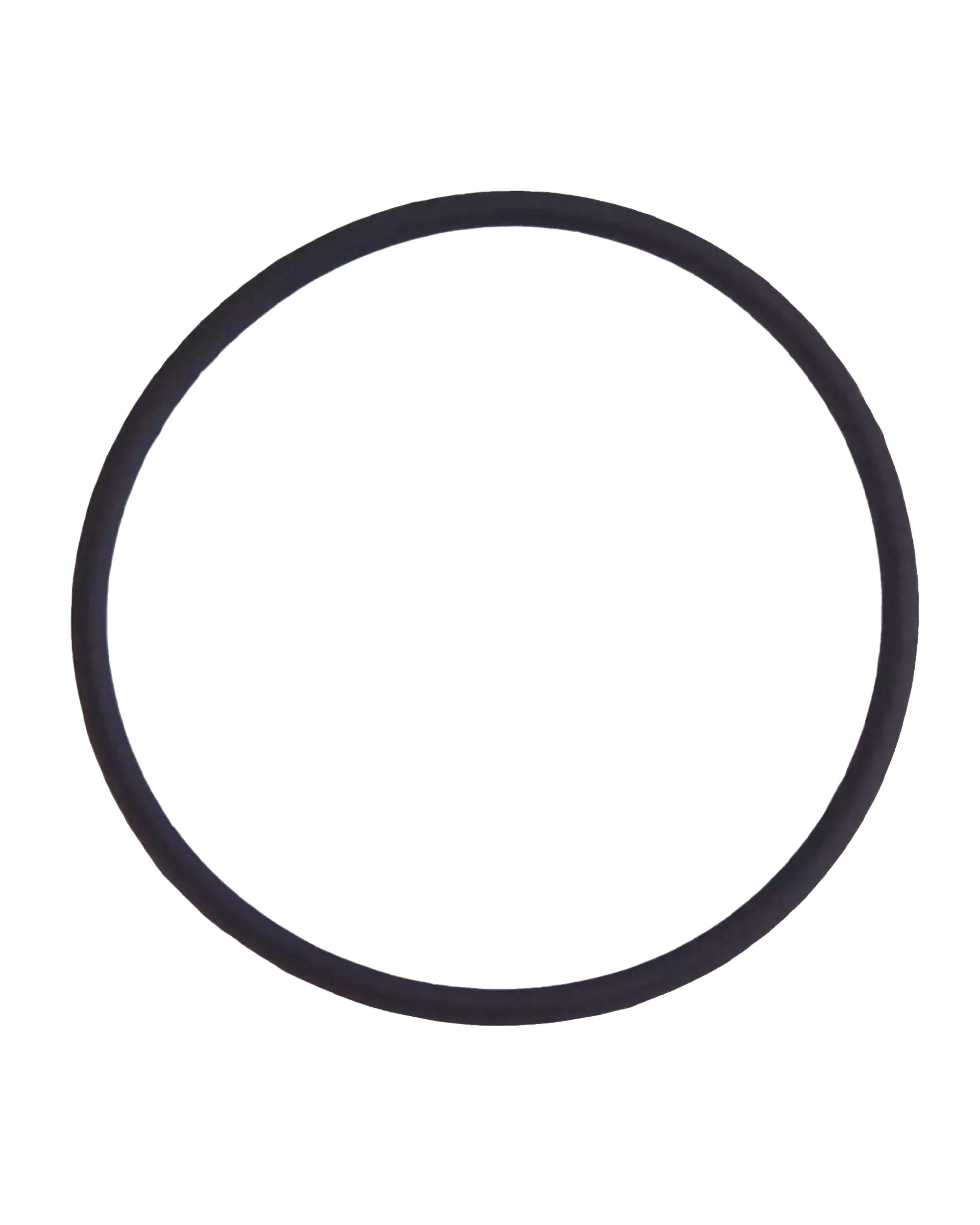Back Camera Lens O-Ring Gasket Compatible For Iphone 7 Plus (100 Pack)