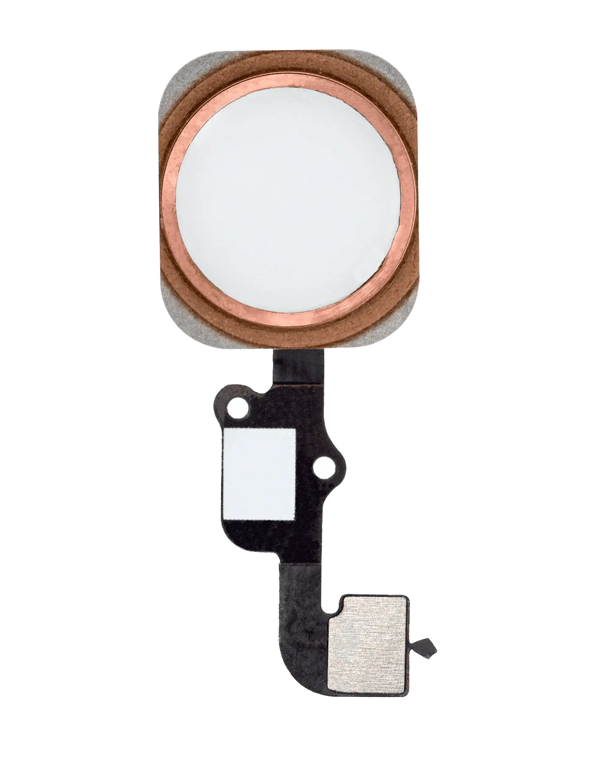 Home Button With Flex Compatible For Iphone 6S / 6S Plus (Rose Gold)