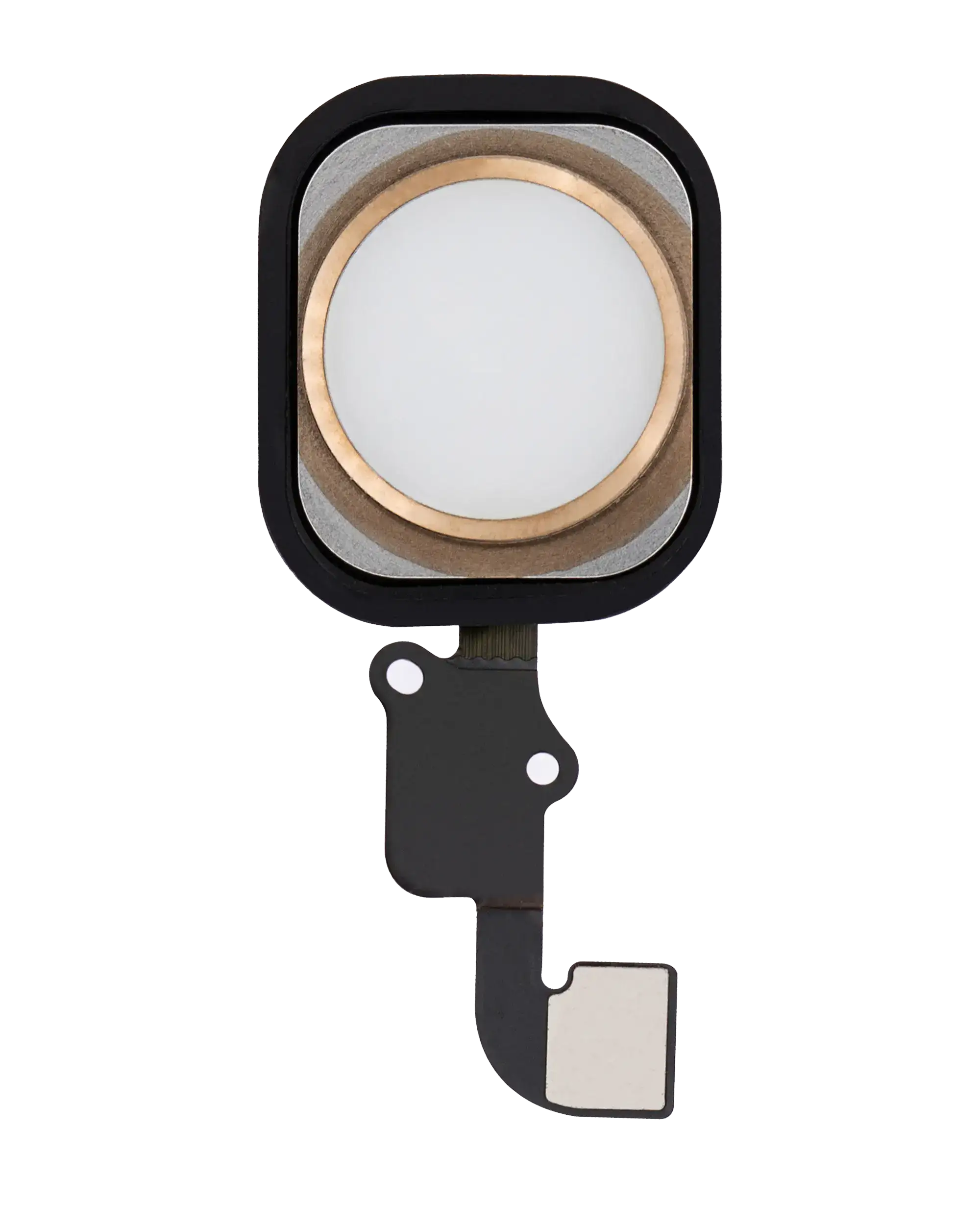 Home Button With Flex Compatible For Iphone 6 / 6 Plus (Gold)