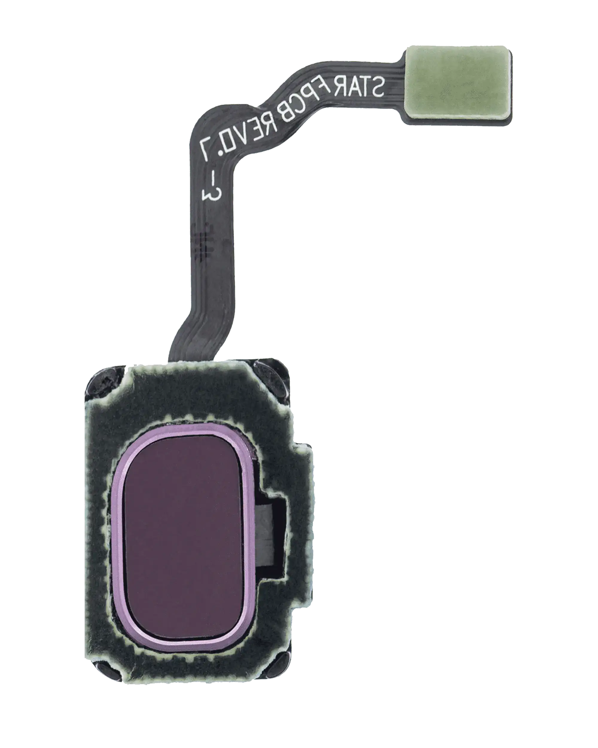 Fingerprint Reader With Flex Cable Compatible For Samsung Galaxy S9 / S9 Plus (Lilac Purple)