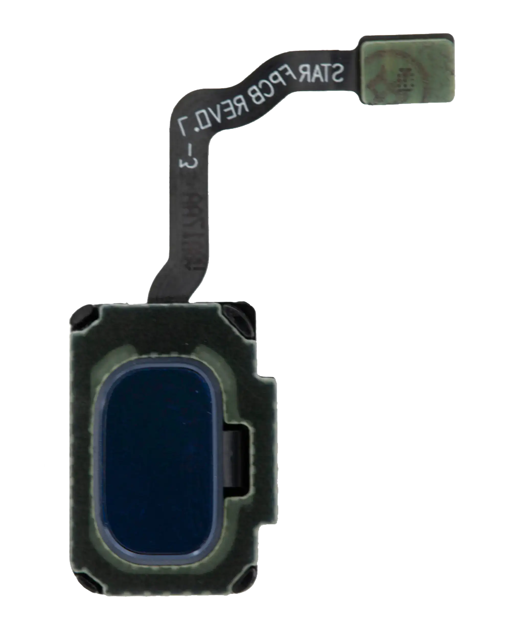 Fingerprint Reader With Flex Cable Compatible For Samsung Galaxy S9 / S9 Plus (Coral Blue)