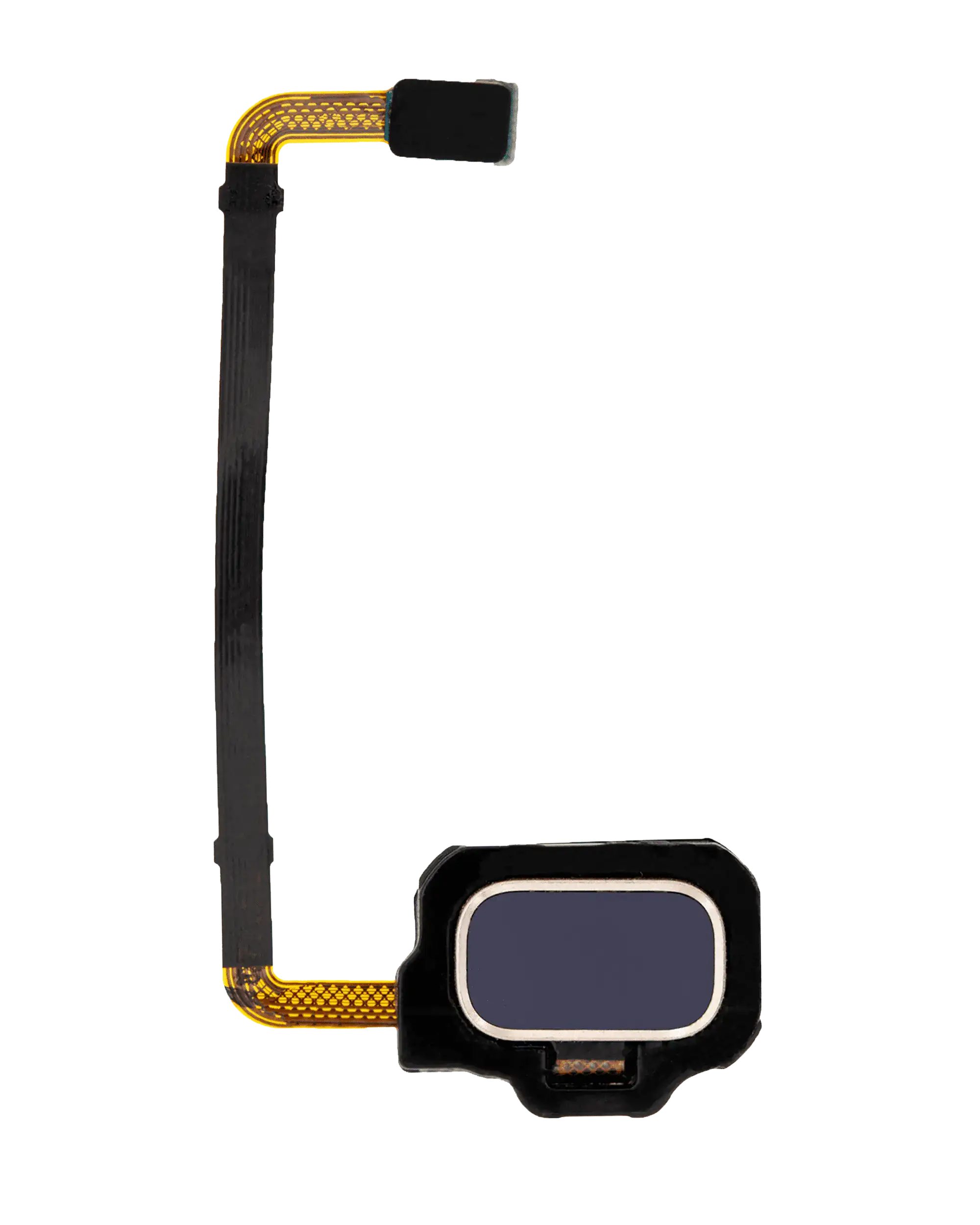 Fingerprint Reader With Flex Cable Compatible For Samsung Galaxy S8 Active (Blue)