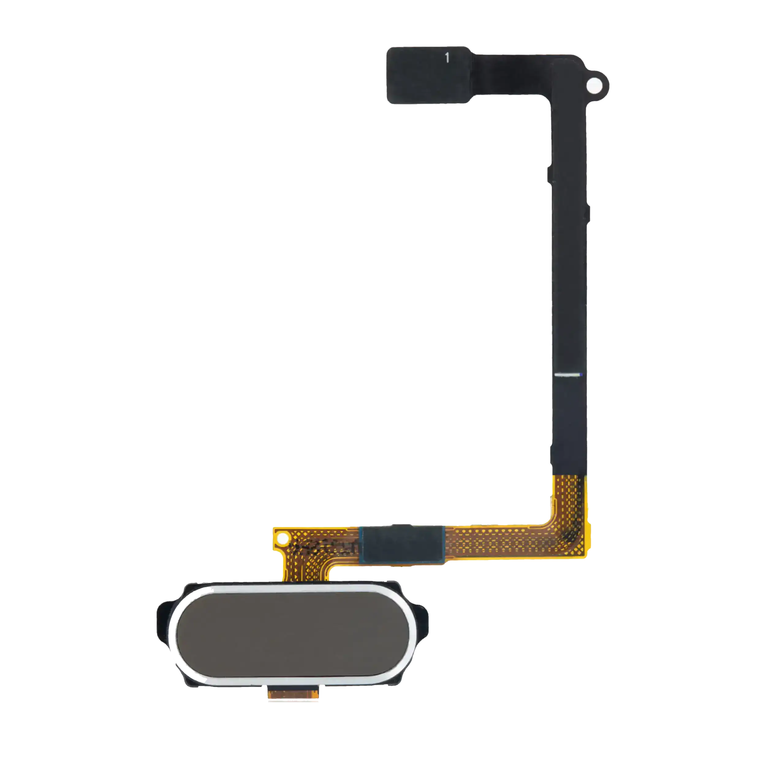 Home Button With Flex Compatible For Samsung Galaxy S6 (Gold)