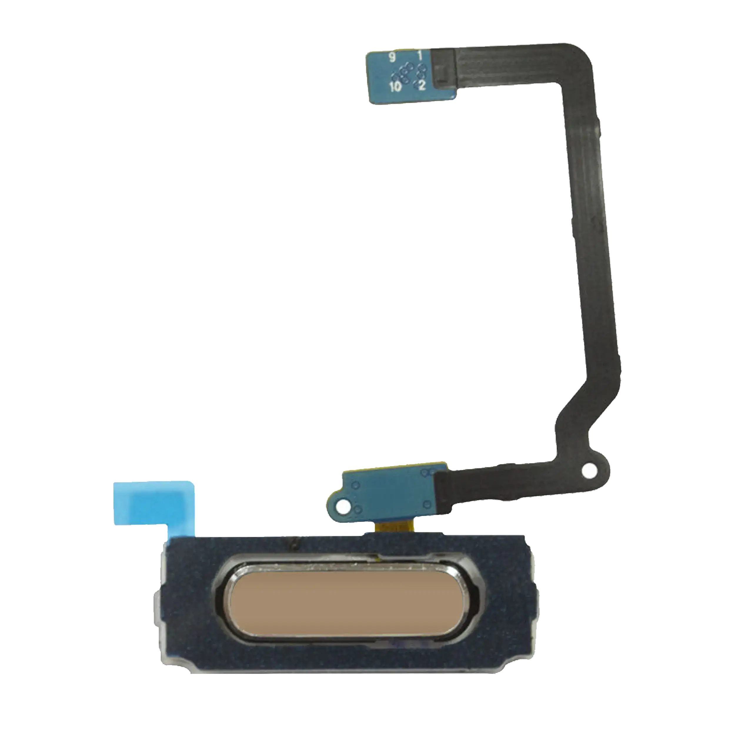 Home Button With Flex Cable Compatible For Samsung Galaxy S5 (Gold)