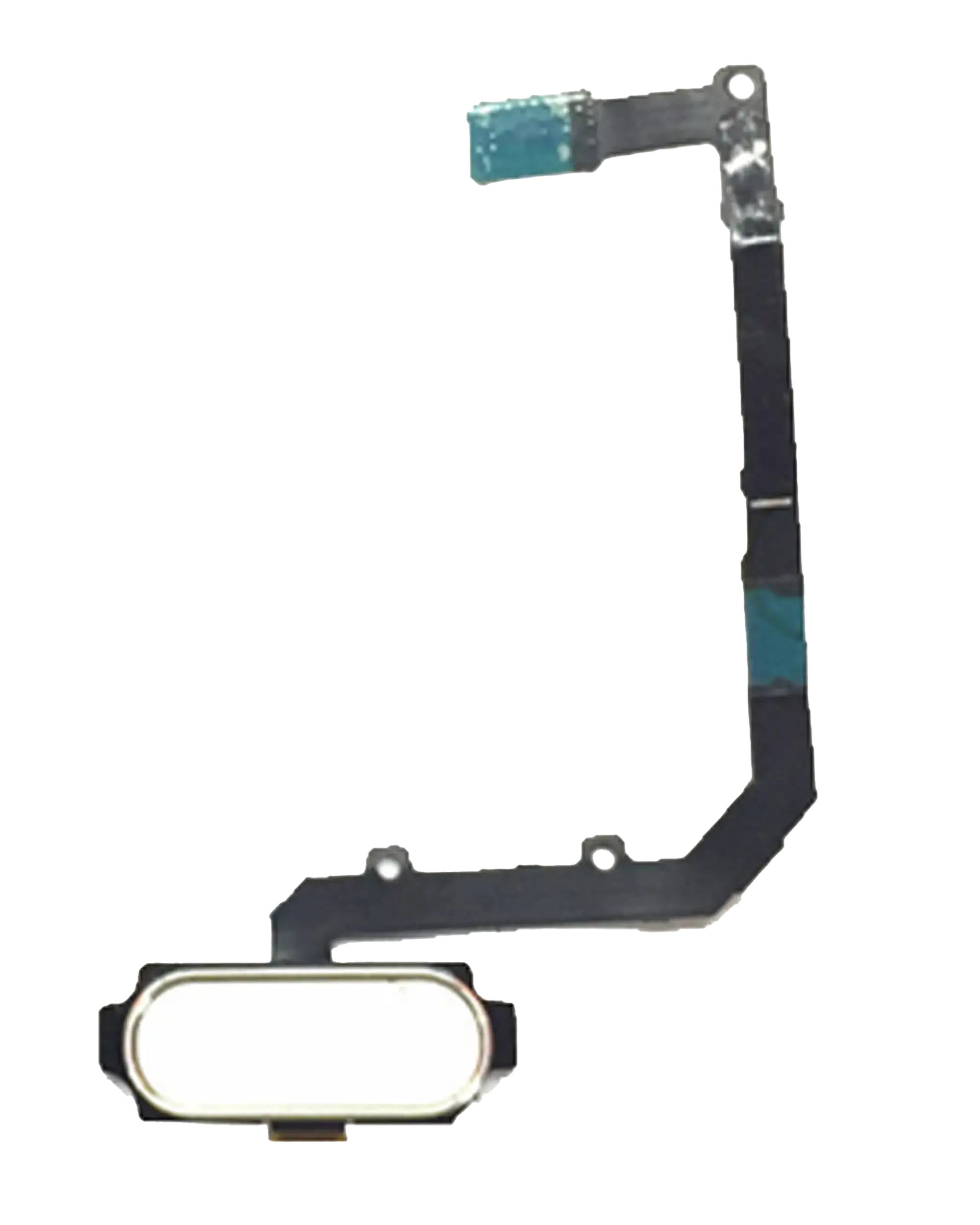 Home Button Flex Cable Compatible For Samsung Galaxy A9 Pro (A910 / 2016) (White)