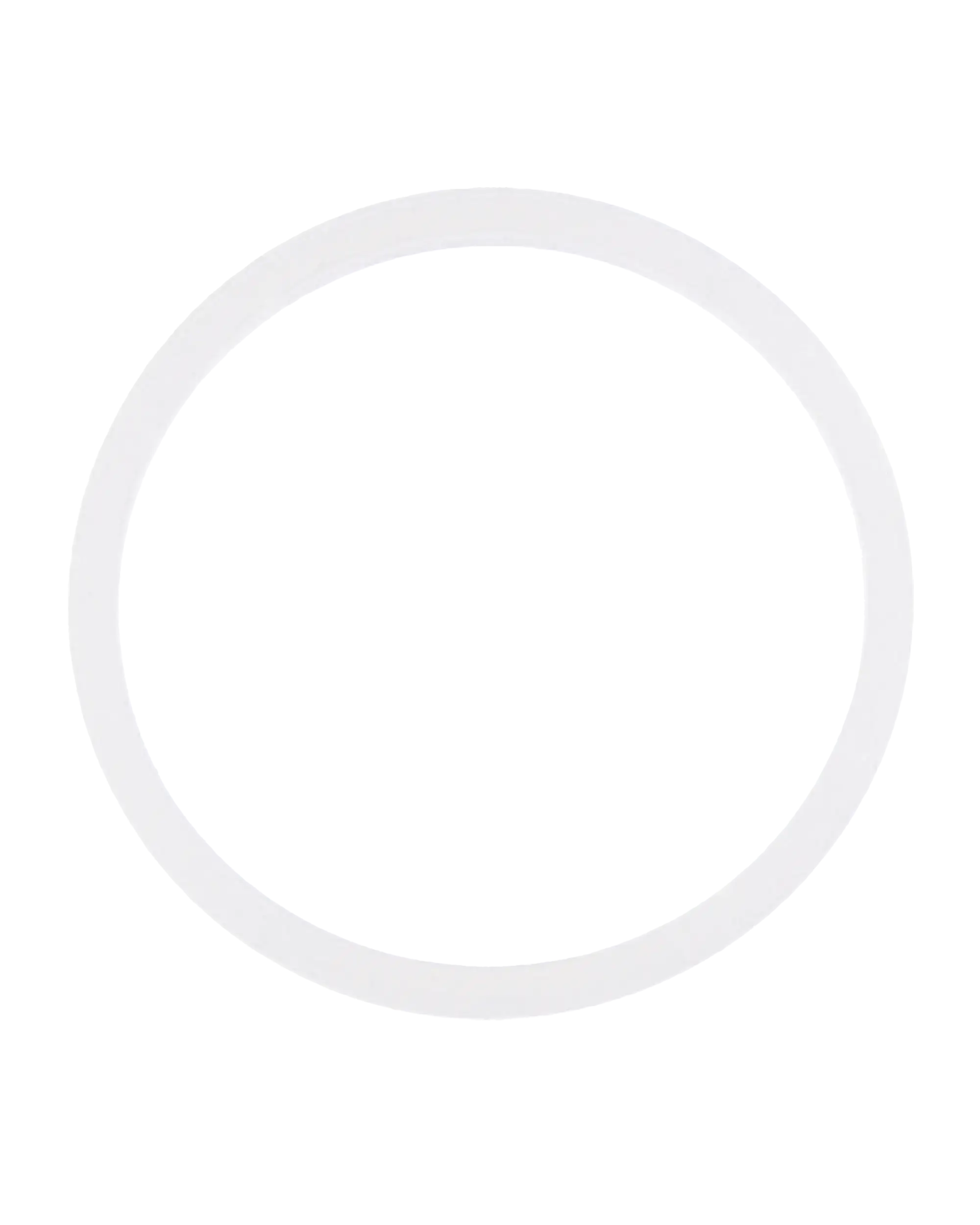 Back Camera Lens O-Ring Gasket Compatible For Iphone 8 / Se (2020) / Se (2022) (100 Pack)